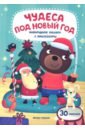 чудеса под новый год Разумовская Юлия Чудеса под Новый год. Книжка с наклейками