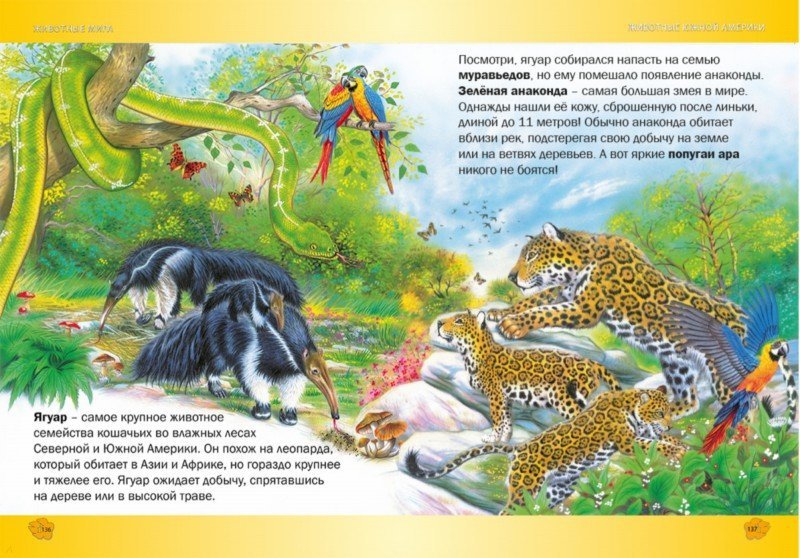 Иллюстрация 7 из 26 для Лучшая энциклопедия животных для детей - Пере Ровира | Лабиринт - книги. Источник: Лабиринт