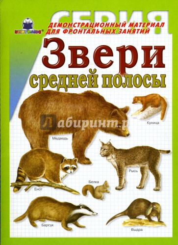 Звери средней полосы. Демонстрационный материал для фронтальных занятий