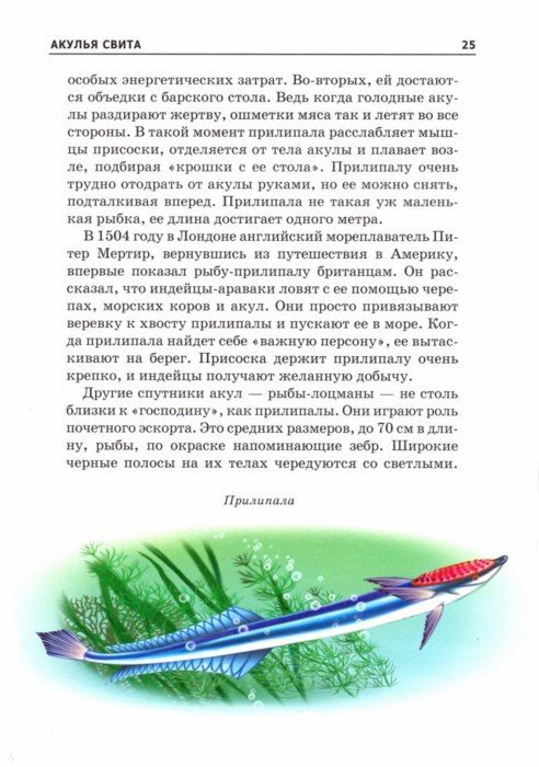 Иллюстрация 2 из 13 для Акулы и скаты - Юлия Дунаева | Лабиринт - книги. Источник: Лабиринт