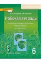 Русский язык. 6 класс. Рабочая тетрадь к учебнику под ред. Е.А. Быстровой. Часть 3. ФГОС - Склярова Василиса Леонтьевна, Фомина Татьяна Викторовна