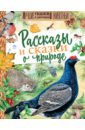 Бианки Виталий Валентинович, Пришвин Михаил Михайлович, Павлова Нина Михайловна Рассказы и сказки о природе бианки виталий валентинович пришвин михаил михайлович сказки для детей о природе