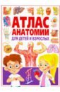 Атлас анатомии для детей и взрослых швырев а а атлас анатомии для детей
