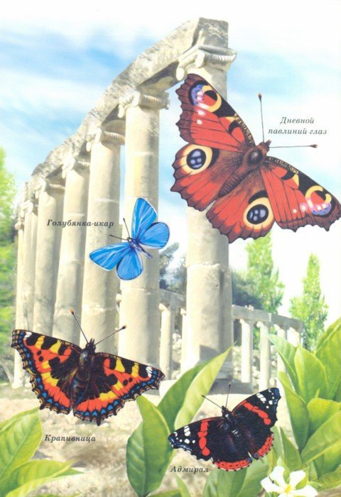 Иллюстрация 1 из 29 для Бабочки - Юлия Дунаева | Лабиринт - книги. Источник: Лабиринт