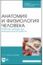 Нижегородцева Ольга Александровна Анатомия и физиология человека. Рабочая тетрадь для внеаудиторной работы. Учебное пособие яковлева светлана зинатовна анатомия и физиология человека рабочая тетрадь