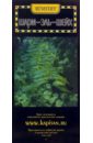 Карта-путеводитель: Шарм-эль-Шейх (складная) - 