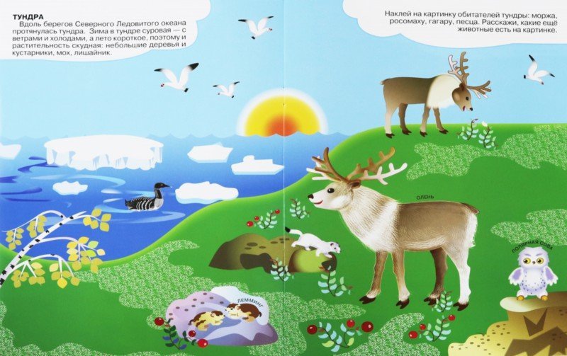 Иллюстрация 1 из 4 для Мир животных | Лабиринт - книги. Источник: Лабиринт