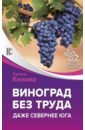 Кизима Галина Александровна Виноград без труда. Даже севернее юга