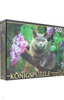 Puzzle-500      (500-8303)