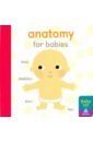Anatomy for Babies (board book) blake k all these bodies