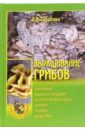 Выращивание грибов - Гарибова Лидия Васильевна