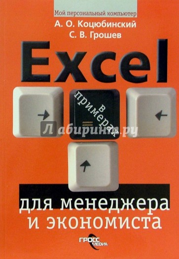 Excel для менеджера и экономиста в примерах