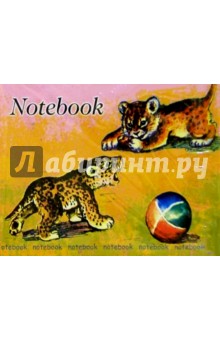 Notebook 1923 45  (, )