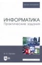 Орлова Ирина Витальевна Информатика. Практические задания. Учебное пособие