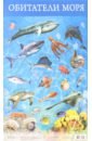 Плакат Обитатели моря (3410) обитатели моря
