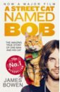 Bowen James A Street Cat Named Bob bowen james the world according to bob the further adventures of one man and his street wise cat