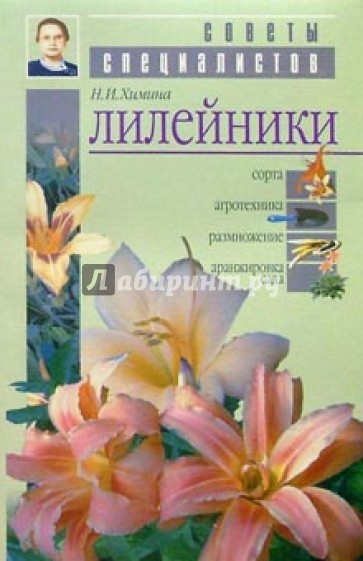 Лилейники