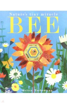 Bee: Nature's Tiny Miracle (PB) Little Tiger Press