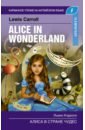 Кэрролл Льюис Алиса в стране чудес. Elementary кроличья нора dvd