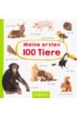 Meine ersten 100 Tiere erstes lernen mini tiere