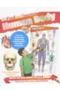 DKfindout! Human Body Poster the body