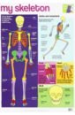 saxophone practice chart coated paper saxophone fingering chart saxophone fingering chart music chords poster My Skeleton chart (laminated, 520x760mm)