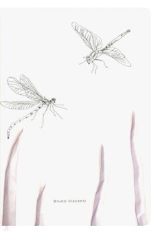   Dragonfly  (40 , ) (7-40-001/04)