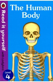 Обложка книги The Human Body, Baker Chris