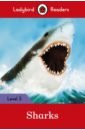 Sharks + downloadable audio godfrey rachel bbc earth animal colors downloadable audio