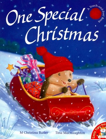 One Special Christmas (Little Hedgehog) PB illustr