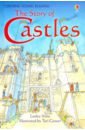 Sims Lesley The Story of Castles sims lesley the story of castles