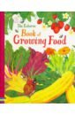 Wheatley Abigail Usborne Book of Growing Food groff lauren delicate edible birds