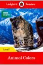 Godfrey Rachel BBC Earth. Animal Colors + downloadable audio godfrey rachel bbc earth animal colors downloadable audio
