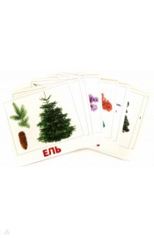 Набор карточек Деревья