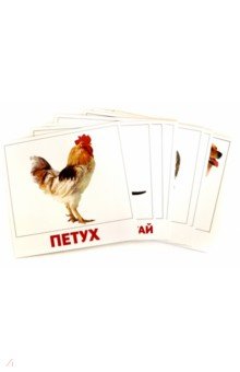 Набор карточек Домашние животные