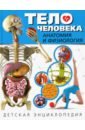 Тело человека. Анатомия и физиология. Детская энциклопедия тело человека анатомия и физиология детская энциклопедия