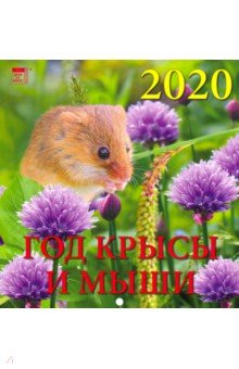  2020       (30007)