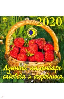  2020        (30009)