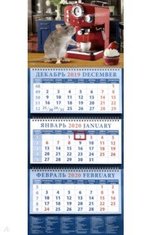 Календарь на 2020 год квартальный "Символ года. Немного взбодрит" (14007)