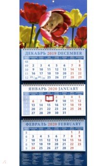 

Календарь на 2020 год квартальный "Символ года. Среди тюльпанов" (14013)