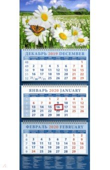 

Календарь 2020 квартальный "Пейзаж с ромашками и бабочкой" (14044)