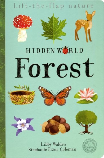 Hidden World: Forest (Lift the Flap Nature)