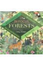 Walden Libby In Focus. Forests volant iris under the canopy trees around the world