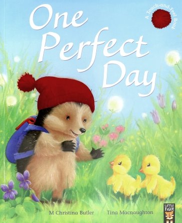 One Perfect Day (Little Hedgehog)