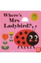 Where's Mrs Ladybird? enigma screen behind the mirror