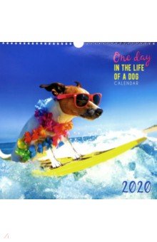 

Календарь настенный на 2020 год "Домашние любимцы. Каникулы" (КПКС2006)