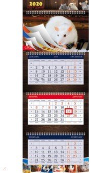 2020г. Календарь квартальный, 3-х блочный, Супер Люкс, Знак года (3Кв4гр2ц_20819).