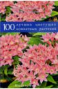 Головкин Борис 100 лучших цветущих комнатных растений