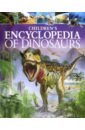 Hibber Clare Children's Encyclopedia of Dinosaurs hibbert clare the amazing book of dinosaurs