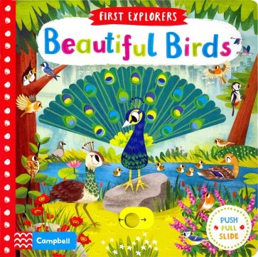 First Explorers: Beautiful Birds (board book)